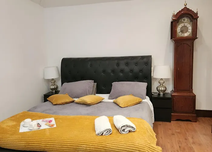 Cosy Studio Flat